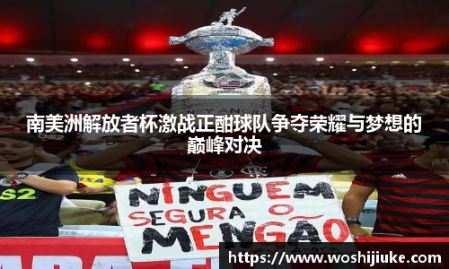 南美洲解放者杯激战正酣球队争夺荣耀与梦想的巅峰对决